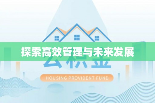 龙华探索高效管理与未来发展