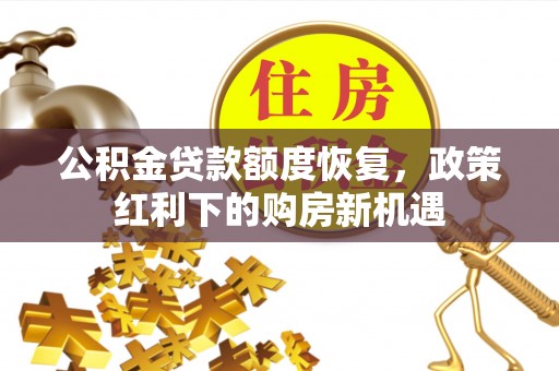 龙华公积金贷款额度恢复，政策红利下的购房新机遇