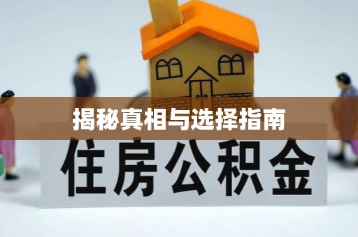 龙华揭秘真相与选择指南
