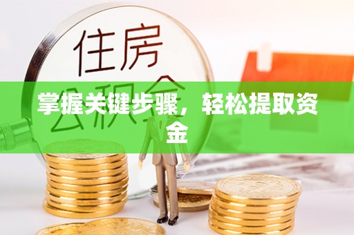 龙华掌握关键步骤，轻松提取资金