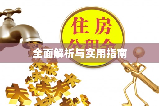 龙华全面解析与实用指南