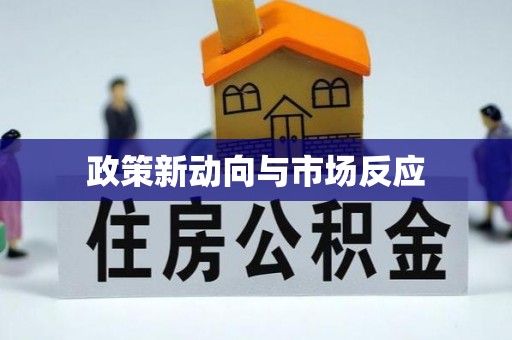 龙华政策新动向与市场反应