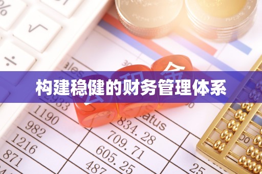 龙华构建稳健的财务管理体系