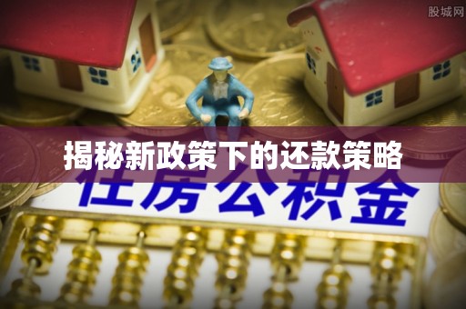 龙华揭秘新政策下的还款策略