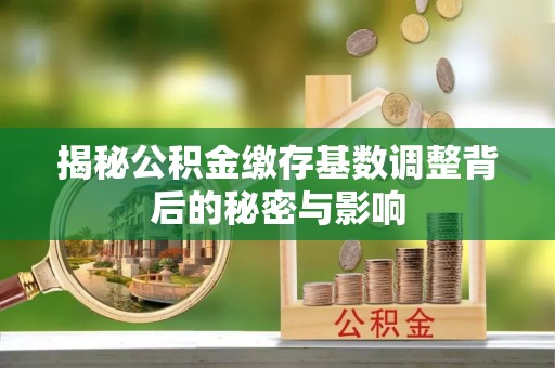 龙华揭秘公积金缴存基数调整背后的秘密与影响
