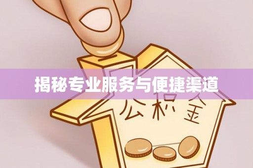 龙华揭秘专业服务与便捷渠道