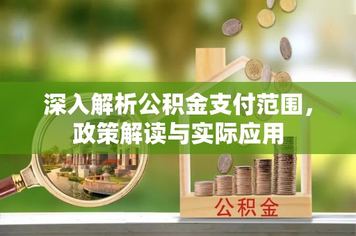 龙华深入解析公积金支付范围，政策解读与实际应用