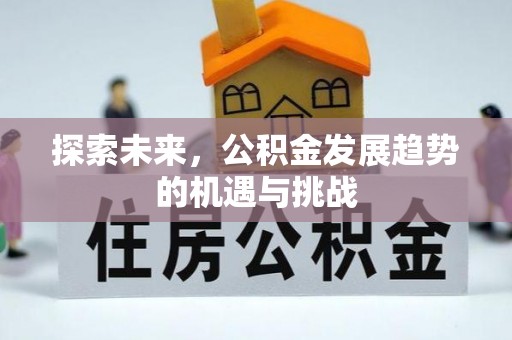 龙华探索未来，公积金发展趋势的机遇与挑战
