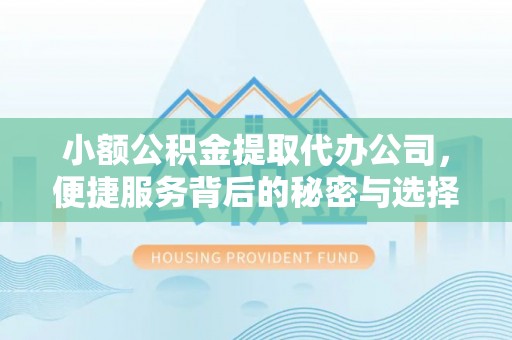 龙华小额公积金提取代办公司，便捷服务背后的秘密与选择指南