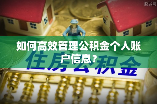 龙华如何高效管理公积金个人账户信息？
