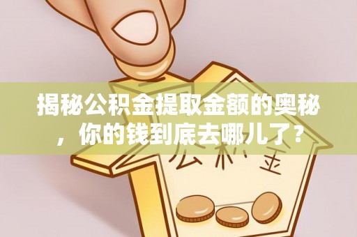 龙华揭秘公积金提取金额的奥秘，你的钱到底去哪儿了？