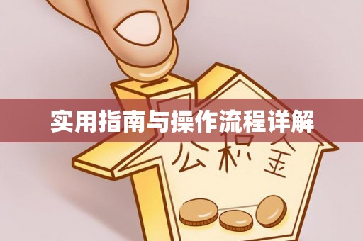 龙华实用指南与操作流程详解