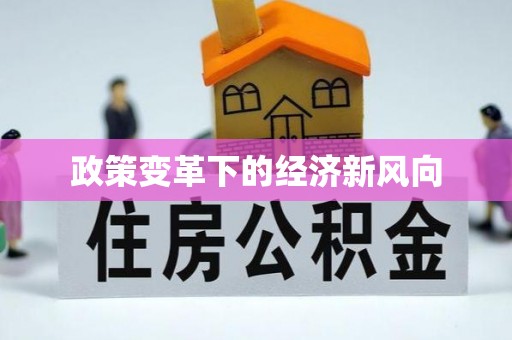 龙华政策变革下的经济新风向