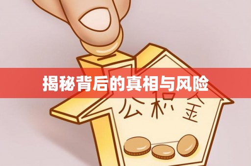 龙华揭秘背后的真相与风险