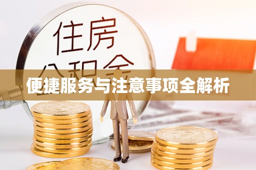 龙华便捷服务与注意事项全解析