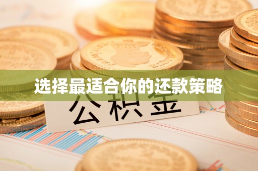 龙华选择最适合你的还款策略
