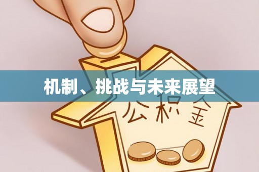 龙华机制、挑战与未来展望